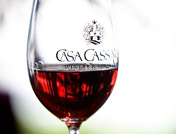 Casa Cassara Winery & Vineyard