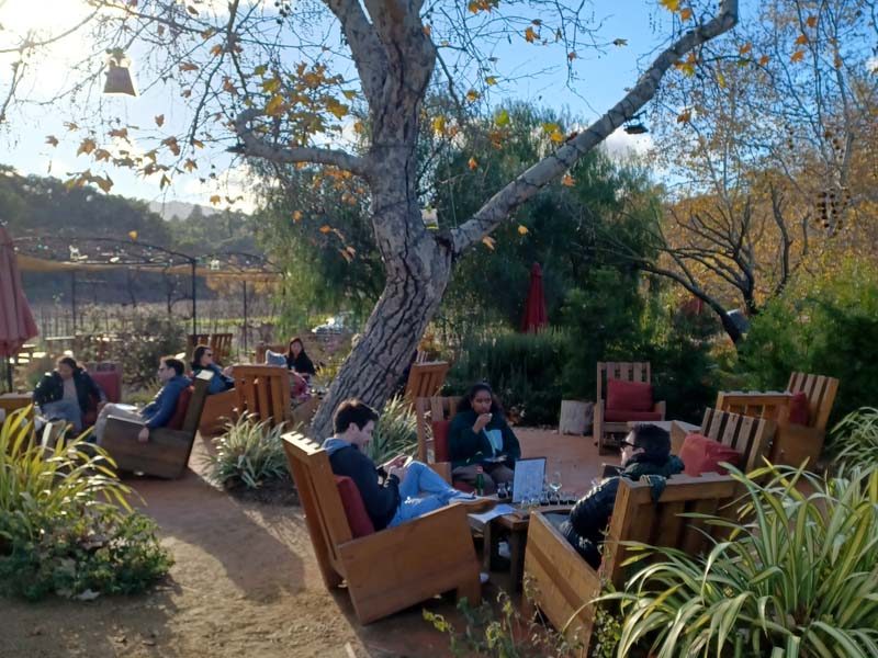 ojai-wine-06