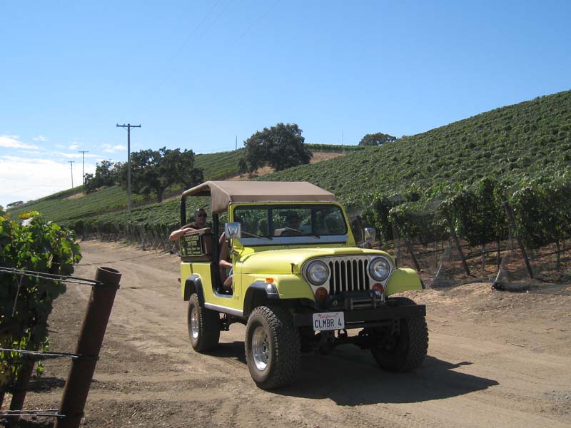 sb-back-co-10